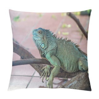Personality  Iguana On A Branch Pillow Covers