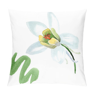 Personality  White Aquilegia Flower. Beautiful Spring Wildflower Isolated On White. Isolated Aquilegia Illustration Element. Watercolor Background Illustration. Pillow Covers