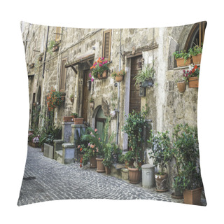 Personality  Traditional Italian Homes Pillow Covers