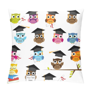 Personality  Vector Set Of Cute School And Graduation Themed Owls Pillow Covers