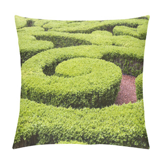 Personality  Boxwood In A Park In Paris, France Pillow Covers