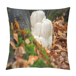 Personality  Rare Lion's Mane Mushroom In A Dutch Forest Pillow Covers