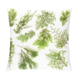 Personality  Evergreen Plants Branches Isolated Set Pillow Covers