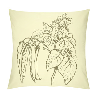 Personality  Branches Beans. Vector Drawing Pillow Covers