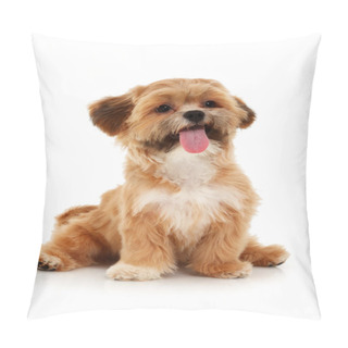 Personality  Mut Sitting Pillow Covers