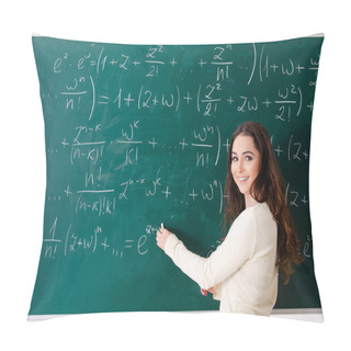 Personality  Young Female Math Teacher In Front Of Chalkboard   Pillow Covers