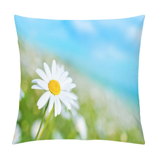 Personality  Camomille Field Pillow Covers