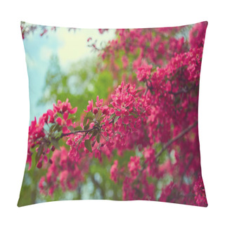 Personality  Branches Of Spring Blooming Tree Pillow Covers