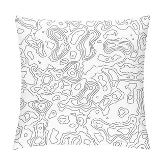 Personality  Topographic Map Background. Vector Illustration Pillow Covers