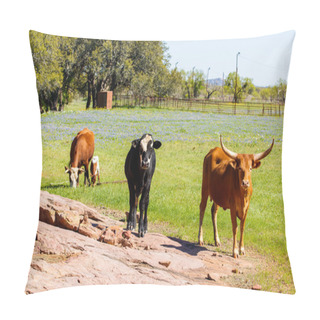 Personality  Texas Cattle Grazing Pillow Covers