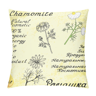 Personality  Chamomile . Vector Set Of 3 Drawing And Hand-lettering Pillow Covers