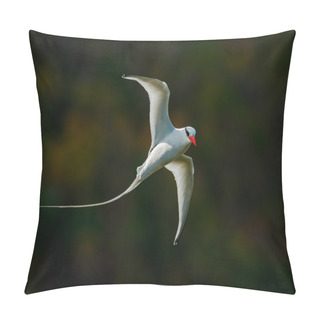 Personality  Flying Red-billed Tropicbird Pillow Covers
