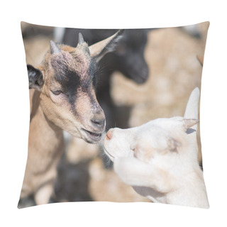 Personality  Close-up View Of Kissing Goats. Pillow Covers