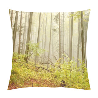 Personality  Autumn Beech Forest Pillow Covers