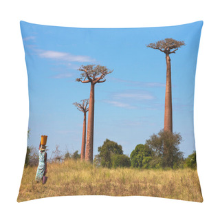 Personality  Baobab Alley Pillow Covers
