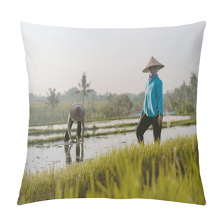 Personality  Bali / Indonesia - December 2019: Balinese Farmer Growing Rice On The Paddy Rice Farmland. Woman Planting Rice Together In The Morning Pillow Covers