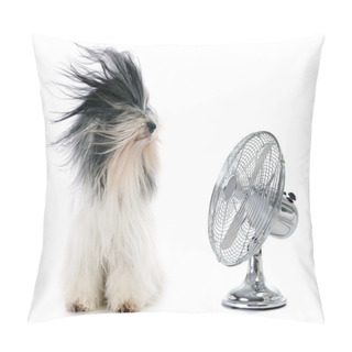 Personality  Tibetan Terrier And Fan Pillow Covers