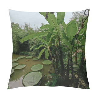 Personality  Giant Lily Pad Waterfront Villa Landscape At Phuket Thailand Pillow Covers