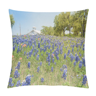 Personality  Colorful Bluebonnet Blossom At Farm In North Texas, America Pillow Covers