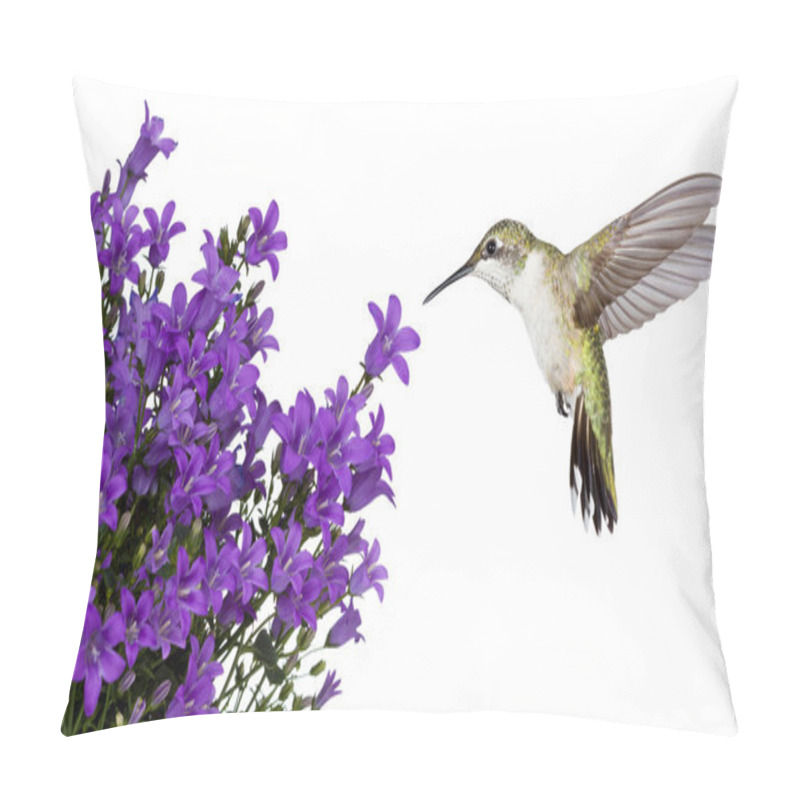 Personality  Hummingbirds positioned over a purple bellfower pillow covers