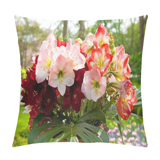 Personality  Beautiful Amaryllis Flowers Amaryllidaceae Pillow Covers