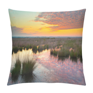 Personality  Swamp At Dusk Pillow Covers