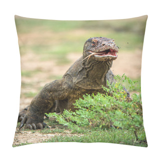 Personality  Komodo Dragon With The  Forked Tongue Sniff Air. Close Up Portrait. ( Varanus Komodoensis ) Biggest In The World Living Lizard In Natural Habitat. Rinca Island. Indonesia. Pillow Covers