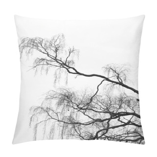 Personality  Branches Of Birch Tree Pillow Covers