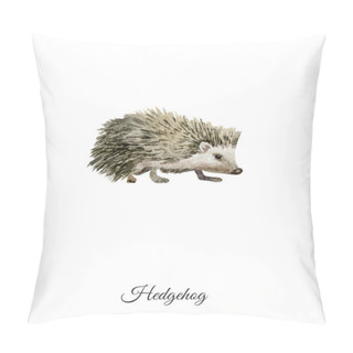 Personality  Handpainted Watercolor Poster With Hedgehog Pillow Covers
