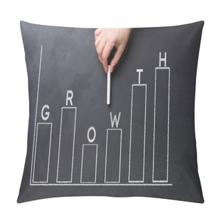 Personality  A Woman's Hand Points To A Graph With Growing Indicators Drawn On A Black Chalkboard. Pillow Covers