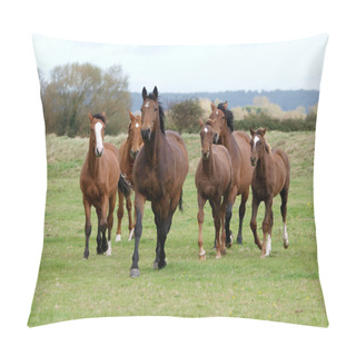 Personality  Running Horse Herd Pillow Covers