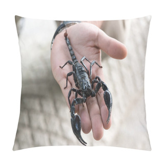 Personality  Black Scorpion On Male Hand Pillow Covers