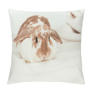 Personality  Domestic Rabbit Lying On Blanket Isolated On White Pillow Covers