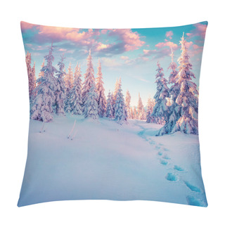 Personality  Winter  In The Carpathian Mountains. Pillow Covers