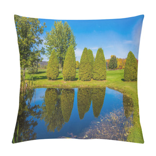 Personality  Small Quiet Pond Reflecting Blue Sky Pillow Covers