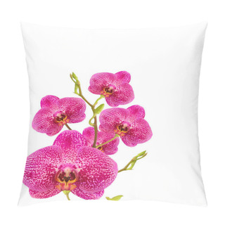 Personality  Orchid Blooms Pillow Covers