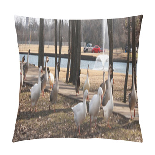 Personality  Duck Trail Pillow Covers