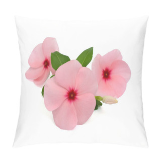 Personality  Beautiful Periwinkle Flower Isolated On White Background Pillow Covers