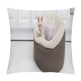 Personality  Hairless Sphynx Cat Lying On Ottoman At Home, Banner  Pillow Covers