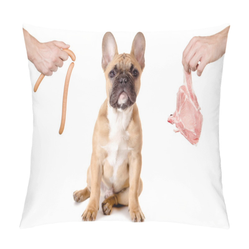 Personality  Sausage Or Meat For The Dog Pillow Covers