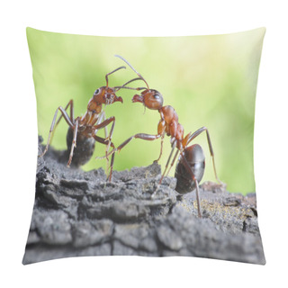 Personality  Communication Of Ants, Dialog, Links Pillow Covers