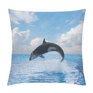 Personality  Jumping Killer Whale Pillow Covers