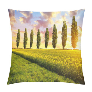 Personality  Spring Landscape With Field Off Rapeseed And Poplar Trees At Sunset.  Pillow Covers