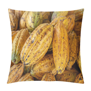 Personality  Cacao Fruit, Raw Cacao Beans And Cocoa Pod Background. Pillow Covers