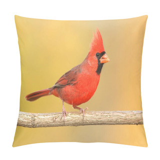 Personality  Male Northern Cardinal (cardinalis) On A Branch In Winter Pillow Covers