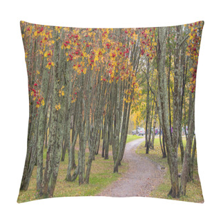 Personality  Path Through Rowan Berry Trees In A Public Park In Seinajoki Finland Pillow Covers