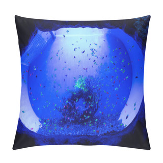 Personality  Small Fishes Swimming Under Water In Aquarium With Blue Lighting Pillow Covers