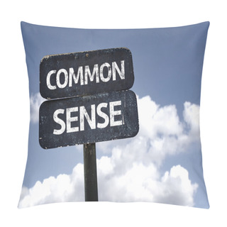 Personality  Common Sense Sign Pillow Covers