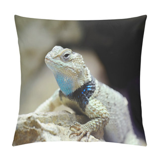 Personality  Western Fence Lizard (Sceloporus Occidentalis) Pillow Covers
