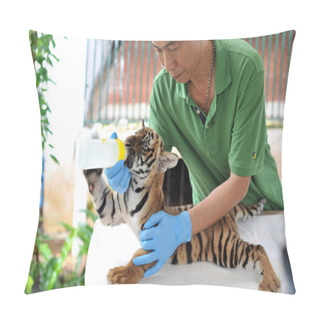 Personality  A Zoo Keeper Feeds A South China Tiger Cub At The Guangzhou Zoo In Guangzhou City, South China's Guangdong Province, 22 June 2017 Pillow Covers